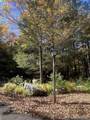 31 Poplar Lane - Photo 42