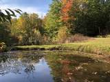 487 Shackford Corner Road - Photo 34