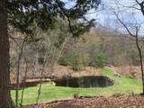 487 Shackford Corner Road - Photo 52