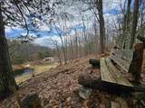 487 Shackford Corner Road - Photo 54