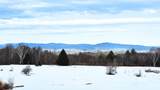 37 Cooks Pond Road - Photo 42
