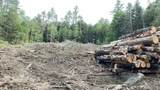  Masterson Road - Photo 5