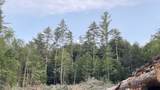  Masterson Road - Photo 8