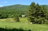46 Fowler Road - Photo 39