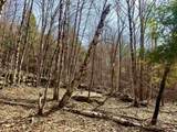 0 Green Mountain Turnpike - Photo 2