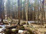 0 Green Mountain Turnpike - Photo 3