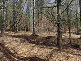 0 Green Mountain Turnpike - Photo 5