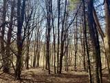 0 Green Mountain Turnpike - Photo 6