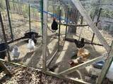 163 Pumpkin Hill Road - Photo 31