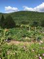 1110 Creek Road - Photo 58