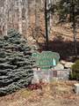 3 Blueberry Road - Photo 1