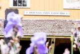 75 Lyon Road - Photo 2