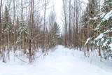 266 Collins Mill Road - Photo 26