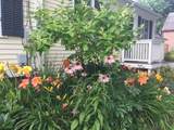 29 Grant Street - Photo 6