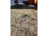 91 Robar Road - Photo 30