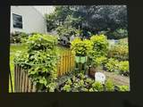 7 Cinnamon Ridge Road - Photo 42