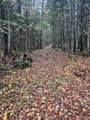 2431 Roaring Brook Road - Photo 50