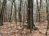 0 Old Walpole/Valley View Road - Photo 14
