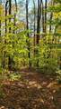 43 Bergblume Circle - Photo 38