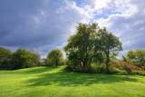 85 Baxter Street - Photo 24