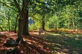 7 Rellas Ridge - Photo 36
