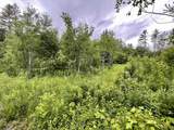 4769 Pikes Falls Road - Photo 6