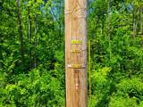 280 Gorham Hill Road - Photo 44