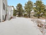 51 Smoke Bush Lane - Photo 36