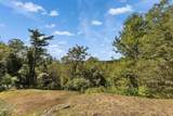 51 Megan Lane - Photo 58