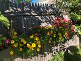 12 Fernand Street - Photo 29