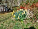 52 Mason Road - Photo 38
