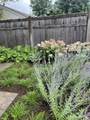 545 South Prospect Street - Photo 49