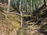 00 Morrill Bend - Photo 13
