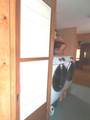 135 Maple Street - Photo 13