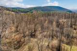 0 Applesauce Hill Road - Photo 22