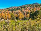 0 Applesauce Hill Road - Photo 30