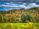 0 Applesauce Hill Road - Photo 31