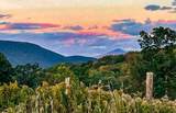 0 Applesauce Hill Road - Photo 33