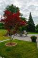 82 Kaufmann Drive - Photo 37