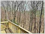 81 Richardson Trail - Photo 35