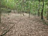 Map 132 Lot 115 Arrowhead Lane - Photo 2