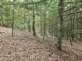 Map 132 Lot 115 Arrowhead Lane - Photo 4