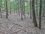 Map 132 Lot 115 Arrowhead Lane - Photo 5
