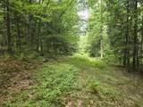  Crotty Drive - Photo 14