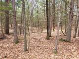 0 Tipping Rock Road - Photo 4