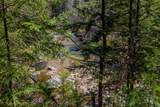 553 Roaring Branch Road - Photo 33