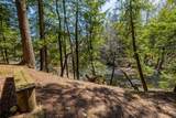 553 Roaring Branch Road - Photo 35