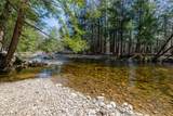 553 Roaring Branch Road - Photo 38