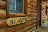 553 Roaring Branch Road - Photo 4