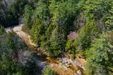 553 Roaring Branch Road - Photo 45